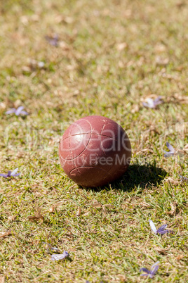 Bocce ball on the green grass