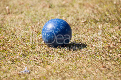 Bocce ball on the green grass