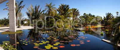 Reflective pond with water lilies and plants at the Naples Botan