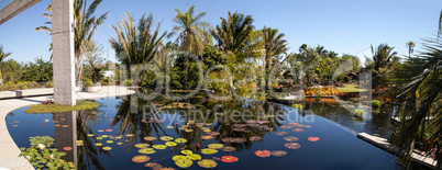 Reflective pond with water lilies and plants at the Naples Botan