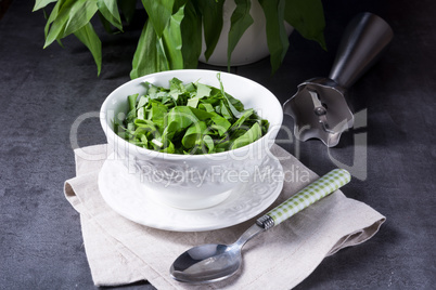 Wild garlic stripes for fresh wild garlic pesto