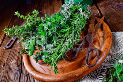 Herbal collection of: thyme,oregano, rosemary