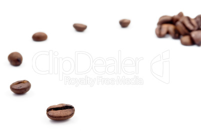 Coffe beans on white background