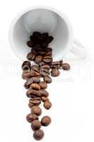 Coffe beans on white mug