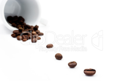 Cup with coffe beans on white background