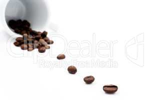 Cup with coffe beans on white background