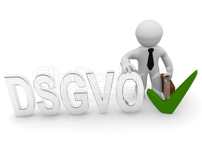 3d character with DSGVO and check mark
