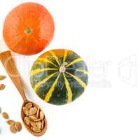 Seeds and pumpkin fruits isolated on white background. Free spac