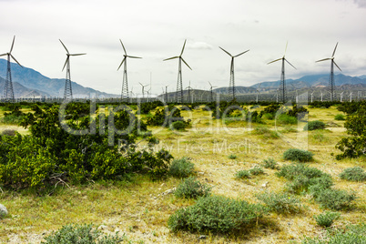 Dramatic Wind Turbine Farm in the Desert of California.