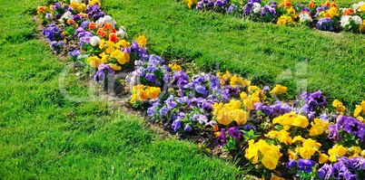 Summer flower bed and green lawn. Wide photo.