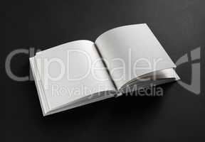 Opened blank book