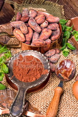 chocolate cocoa and cocoa beans