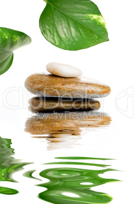 Zen stones with green leaves