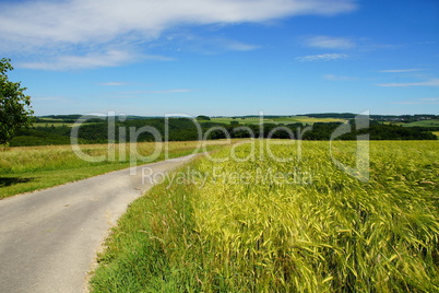 Frühlingslandschaft mit Weg