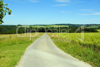 Frühlingslandschaft mit Weg