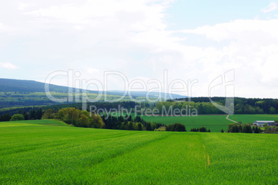 Landschaft am Idarwald