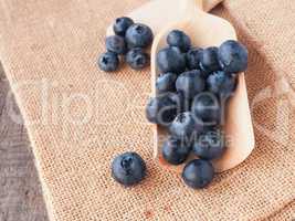 Fresh blueberries on a wooden spoon