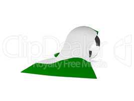 Soccer ball with the flag of Nigeria