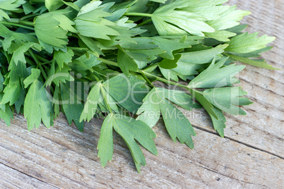 fresh lovage