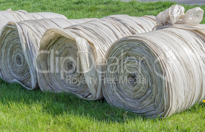 big rolls with foils