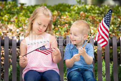 Young Sister and Brother Comparing Each Others American Flag Siz