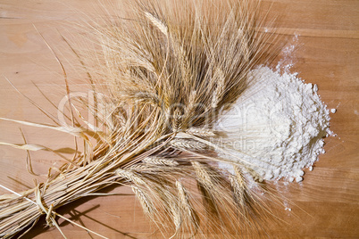 Ear of corn and flour