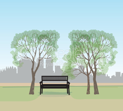 Bench in city park. Spring landscape. City tree skyline