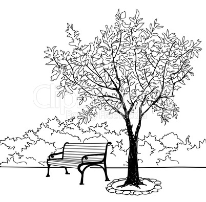 Bench in park with tree. City park landscape