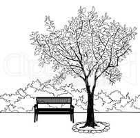 Bench in park with tree. City park landscape