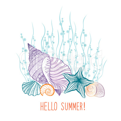 Marine life background, seashell, seastar. Summer holiday card