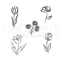 Flower set. Engraved floral design elements