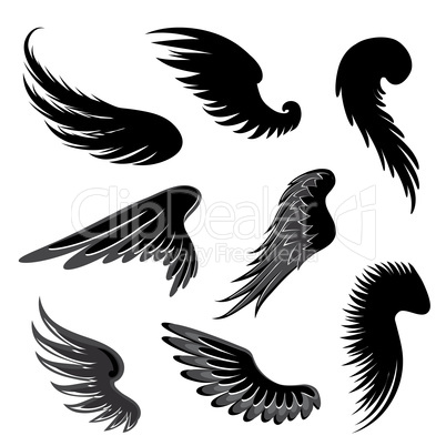 Wings Set. Angel symbol. Birds Sign