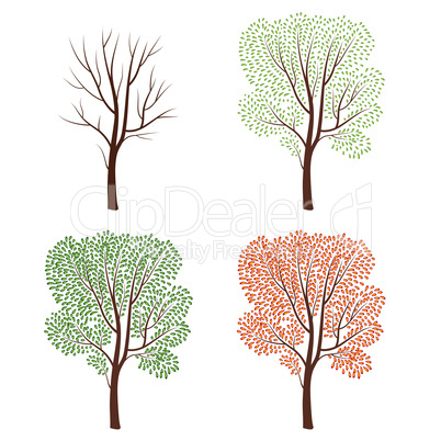 Four seasons naturedecor. Tree set. Plant seasonal