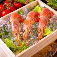 cooked argentine red prawns with salad on the ice