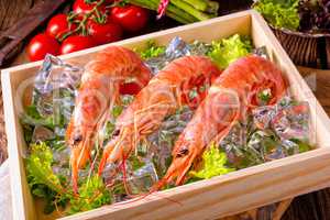 cooked argentine red prawns with salad on the ice