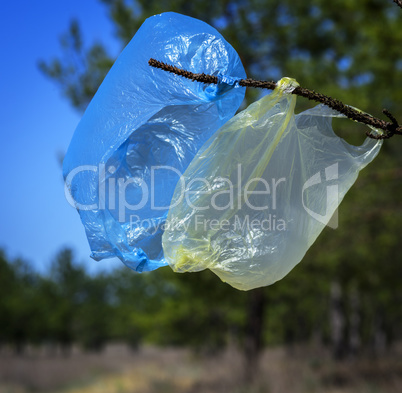two used empty plastic bags hanging on a branch