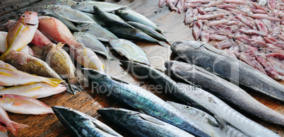 Fresh fish and squid on a wooden table. Sri Lanka. Wide photo.
