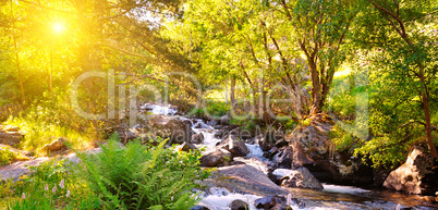 Mountain river, forest and bright sunrise. Wide photo.