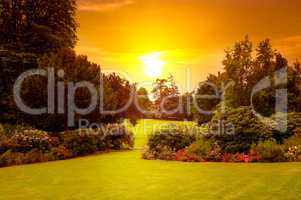 Summer park with beautiful flowerbeds and sun rise.