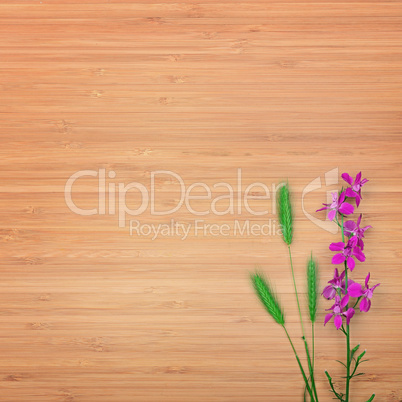 Delphinium flower on a wooden background. Free space for text.