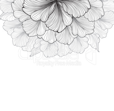 Floral background. Flower bloom cover. Flourish greeting card