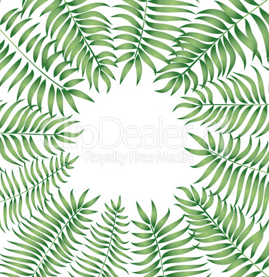 Floral background. Summer leaves flourish border Plam leaf frame