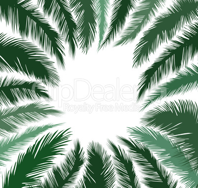 Floral background. Summer leaves flourish border Plam leaf frame