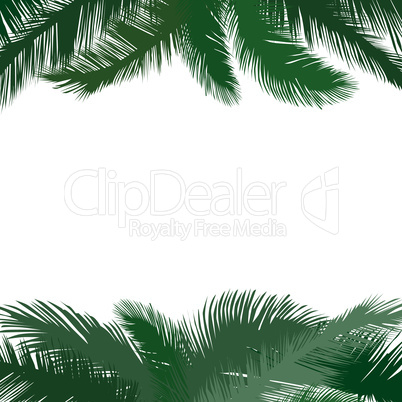 Floral tropical holiday greeting background. Palm leaves frame.
