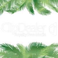 Floral tropical holiday greeting background. Palm leaves frame.