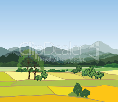 Rural landscape, mountains. Countryside view with forest, field, hills