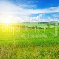 Green field and blue sky with light clouds. Above the horizon is