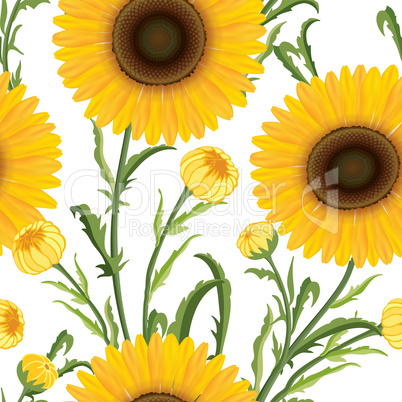 Floral seamless pattern. Flower background. Flourish garden