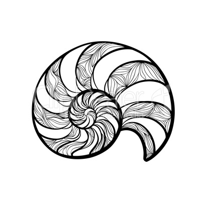 Seashell nautilus. Spiral pattern. Wave nautilus marine background