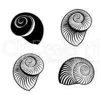 Seashell nautilus engraved signs. Marine life animal set